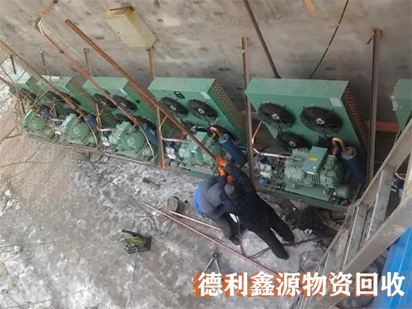 冷库设备回收公司